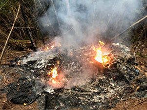 Illegal campfire near Cathedral Trail in Stanley Park.