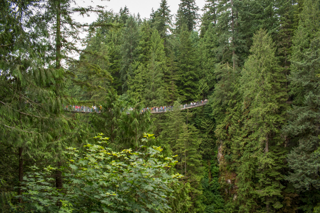 Capilano Suspension Bridge Park