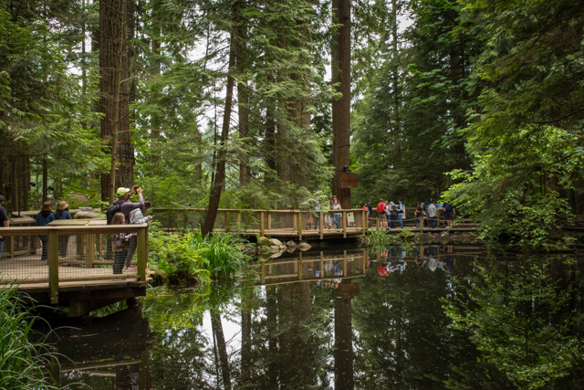 Capilano Suspension Bridge Park