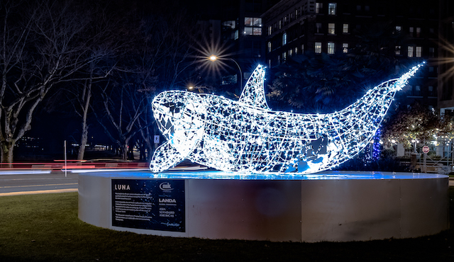 Lumière Vancouver  Luna Whale