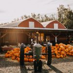 MaanFarms_FallFestival_DylainaGollubPhotography