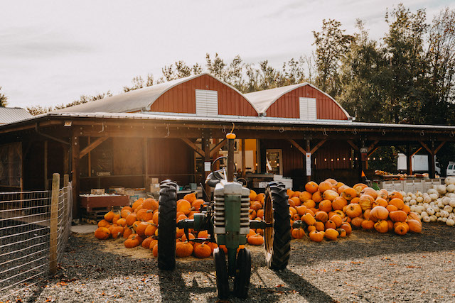 MaanFarms_FallFestival_DylainaGollubPhotography