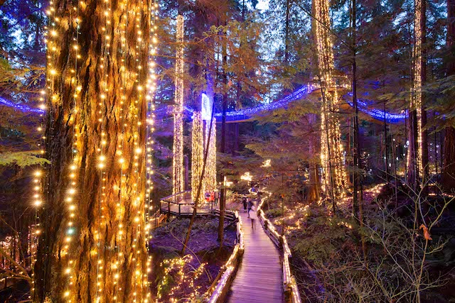 Canyon Lights at Capilano Suspension Bridge Park