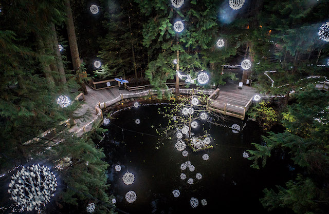 Canyon Lights at Capilano Suspension Bridge Park