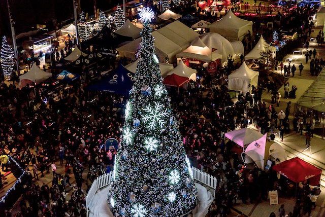 Surrey Tree Lighting Festival