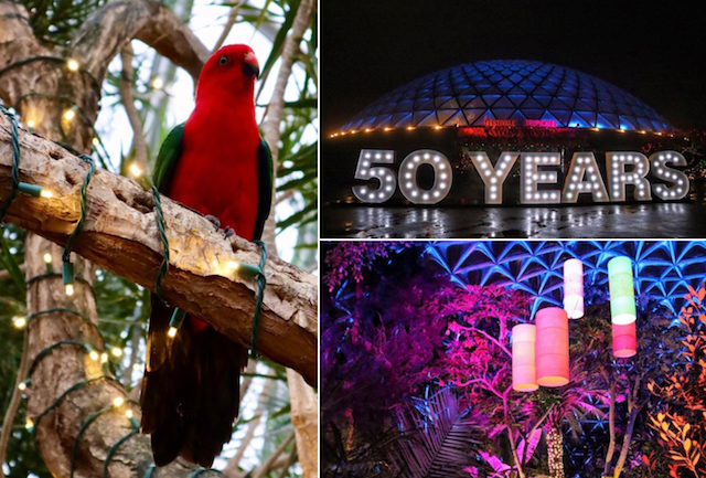 Christmas at Bloedel Conservatory with Festivale Tropicale