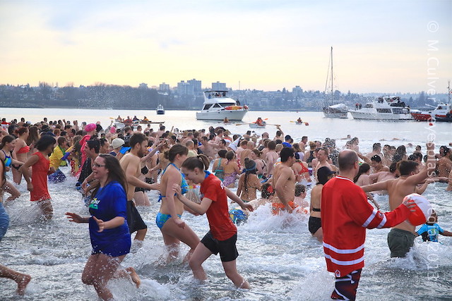 Vancouver Polar Bear Swim