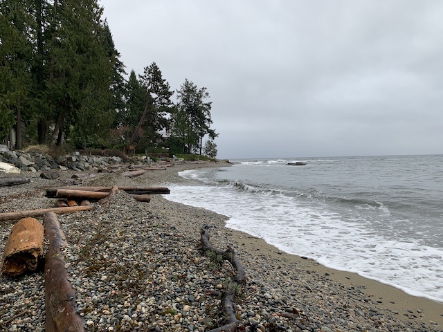 Nearby the inn, Henderson Beach, Roberts Creek