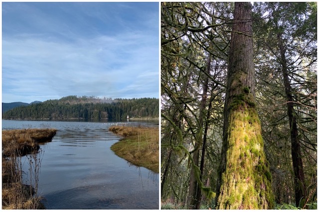 Porpoise Bay Provincial Park