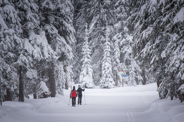 Vernon Winter Activity Sovereign Lake