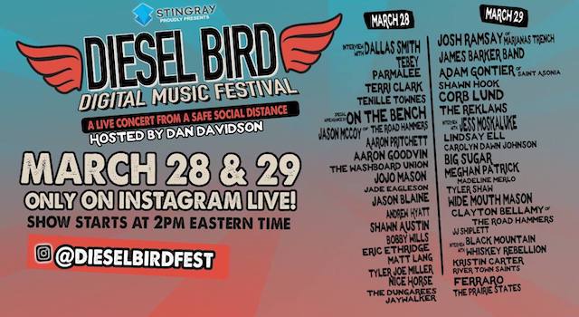 Diesel Bird Festival