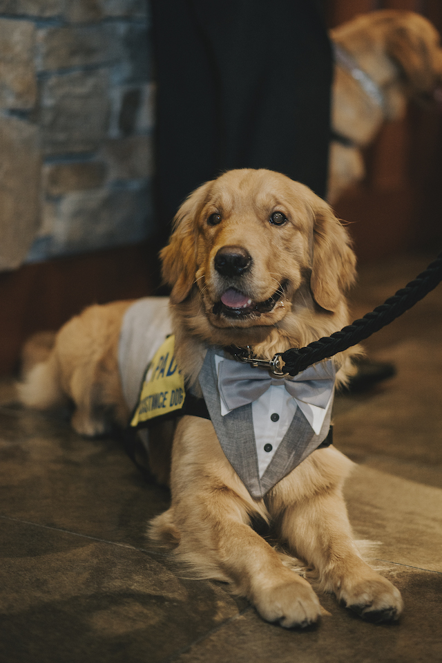 PADS Service Dog - For the Love of Dog Gala