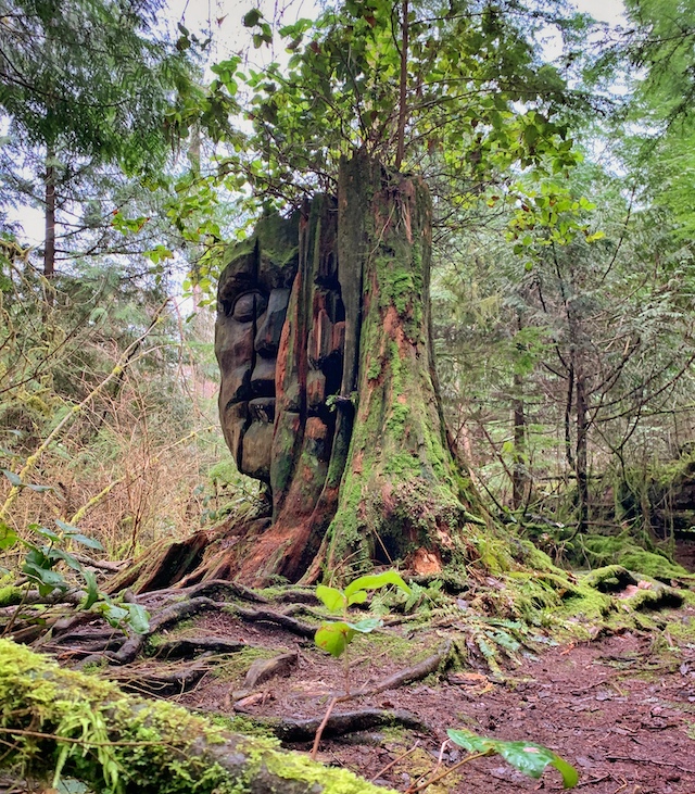 Two Spirit / God Head in Stanley Park - Rebecca Bollwitt Photo