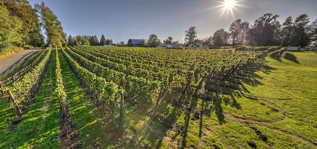 Township 7 Winery - Provided Image