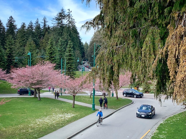 Stanley Park Traffic