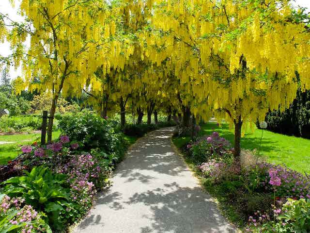 VanDusen Botanical Garden Will be Opening May 1, 2020