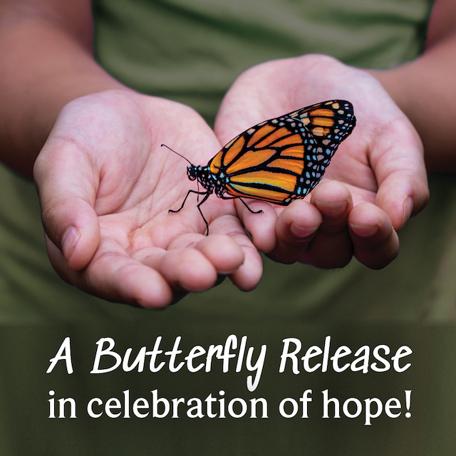 Release Butterflies at Taves Farm 2020