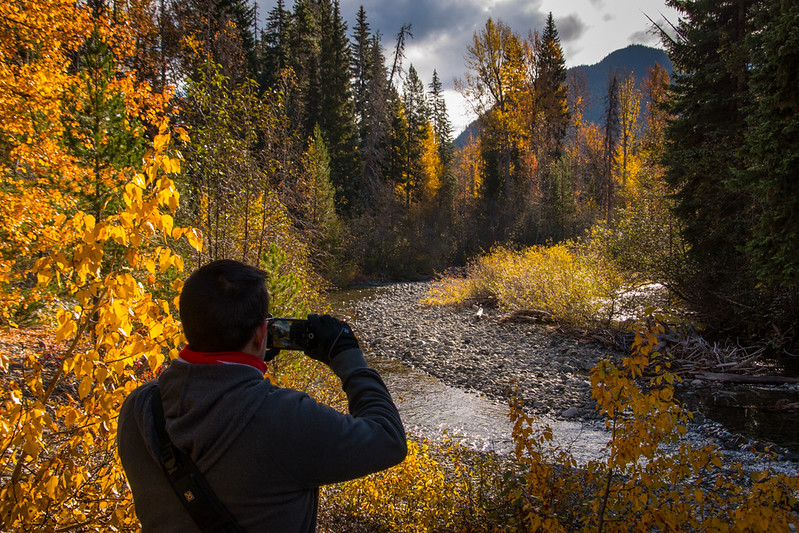 Manning Park Fall Bollwitt