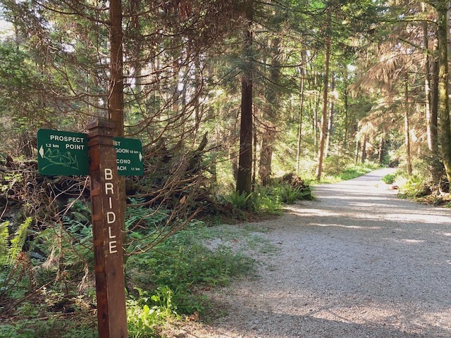 Walk to Prospect Point - Bridle Path Miss604 Stanley Park