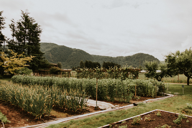 Field House Farms Photo by Robyn Bessenger