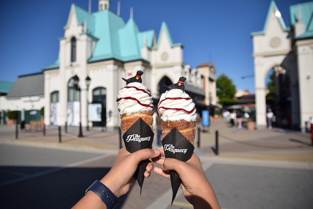 National Ice Cream Day in Support of BC SPCA