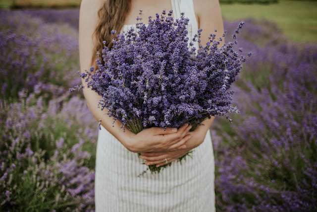 Abbotsford's Sun & Soil Summer Concert Series - Tuscan Farm Gardens