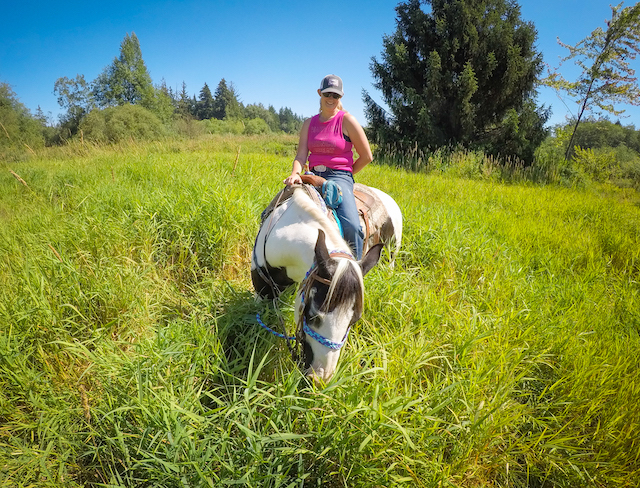 Horseback Trail Riding in Campbell Valley Park