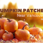 Pumpkin Patch Vancouver