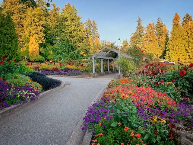 Stanley Park Rose Garden Path - Colours of the Season at Gardens Around Vancouver