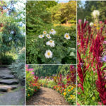 VanDusen Garden