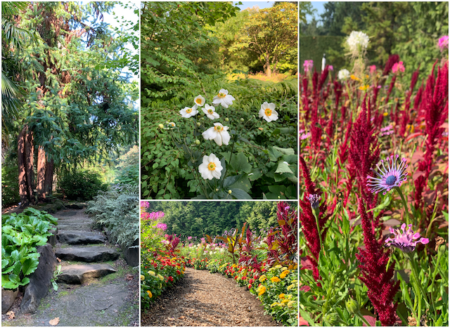 VanDusen Garden - Colours of the Season at Gardens Around Vancouver