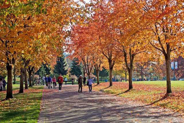 Fall in Coquitlam