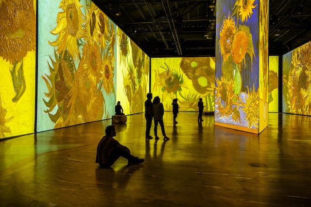 Imagine Van Gogh. Photo by Laurence Labat