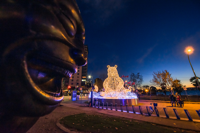 Lumiere Bear Photo by Christopher Edmonstone