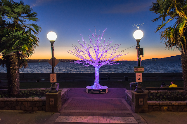 Lumiere Tree Photo by Christopher Edmonstone