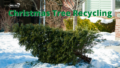 Where to recycle your Christmas tree chip Vancouver