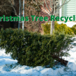 Where to recycle your Christmas tree chip Vancouver