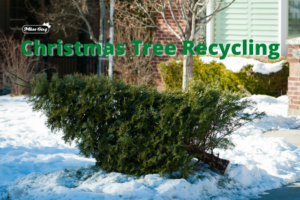 Where to recycle your Christmas tree chip Vancouver