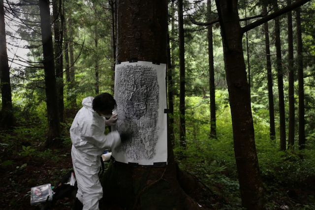 Masao Okabe making a frottage of an irradiated tree In Ōkuma Town, Fukushima Prefecture, 2015. Photo: Chihiro Minato.