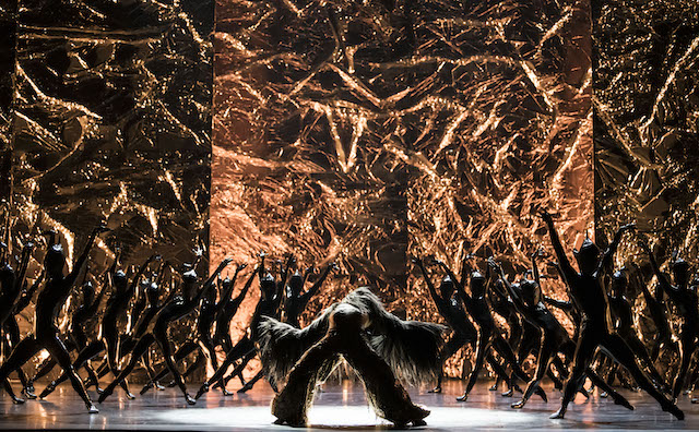 Paris Opera Ballet by Julien Benhamou