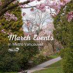 March Events in Metro Vancouver Cherry Blossoms