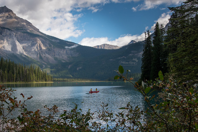 Yoho National Park - Miss604 Photo
