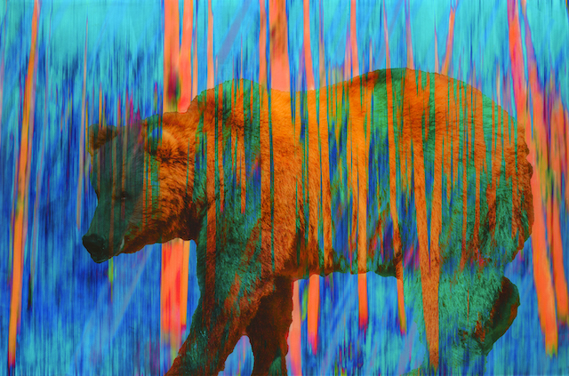 Mark Bowen Vanishing Species - Ocean Blue Bear