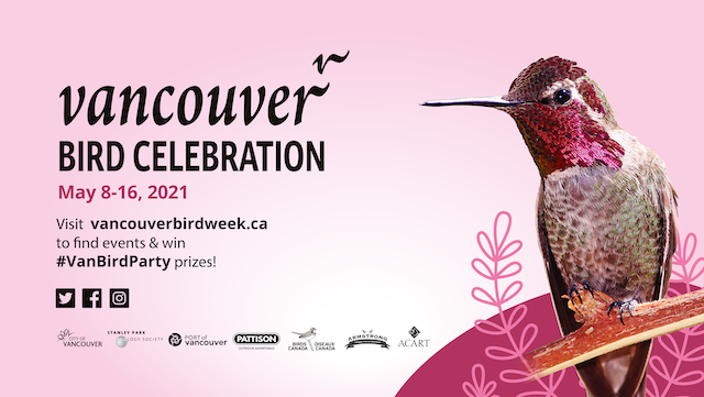 Vancouver Bird Celebration 2021