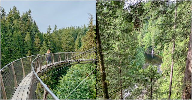 Capilano Suspension Bridge 2021