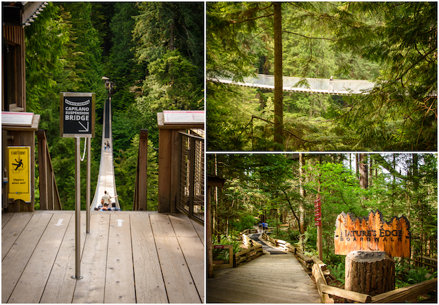 Capilano Suspension Bridge 2021 c