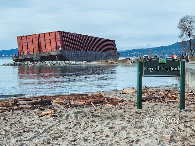 Rebecca Bollwitt Barge Chilling Beach Miss604