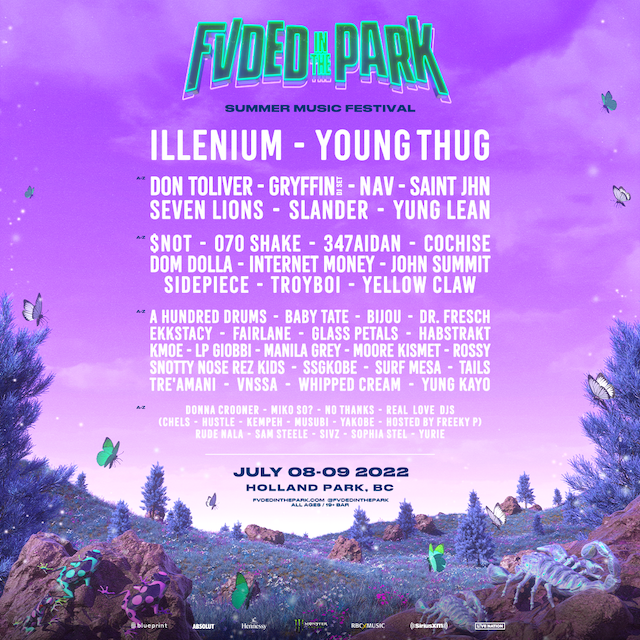 FVDED in the park 2022 lineup graphic
