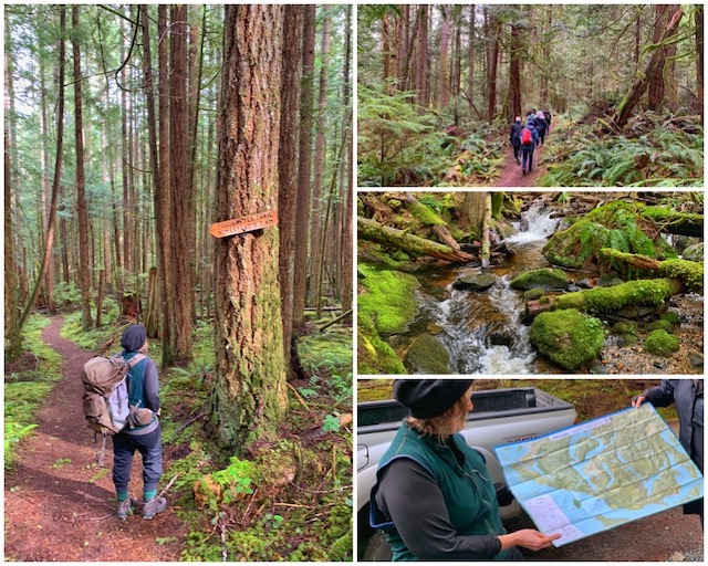 Sunshine Coast Trail with Christine from Terracentric