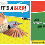 Vancouver Bird Celebration 2022